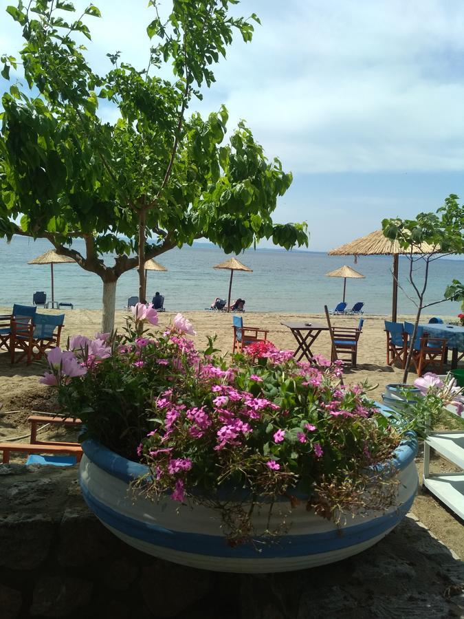 Studios Πασχαλιά Γερακινή Εξωτερικό φωτογραφία